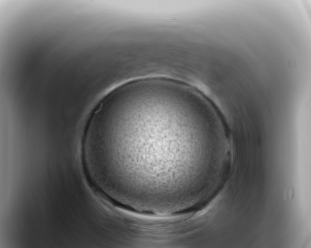 X0000088731500200706071629