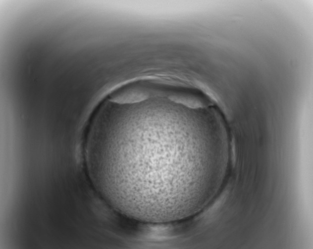 X0000088731501200706071629