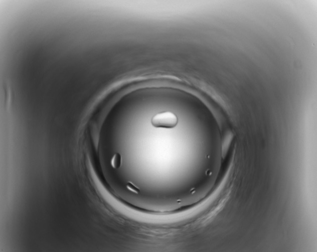 X0000088731502200706071629