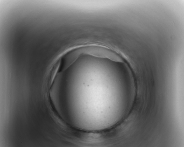 X0000088731503200706071629