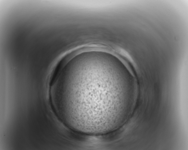 X0000088731504200706071629