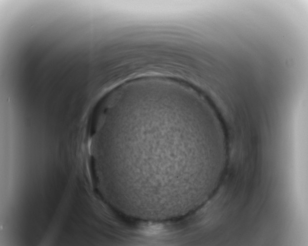 X0000088731505200706071629