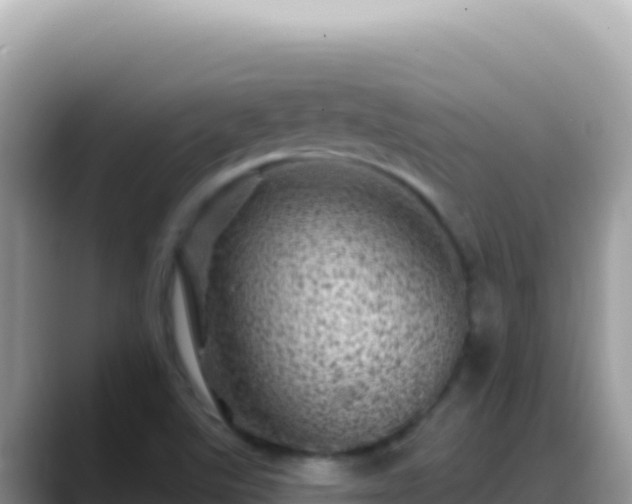 X0000088731507200706071629