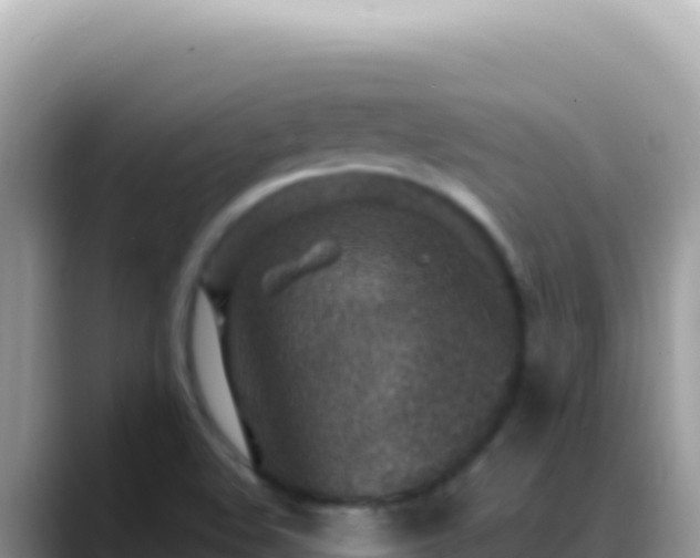 X0000088731508200706071629