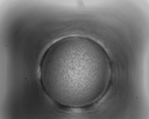X0000088731509200706071629