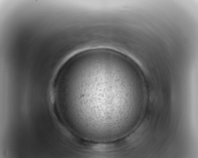 X0000088731510200706071629