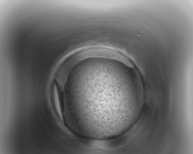 X0000088731511200706071629