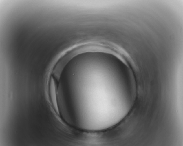 X0000088731512200706071629