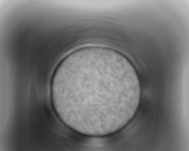 X0000088731514200706071629
