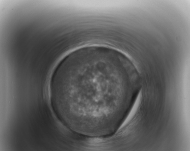 X0000088731515200706071629