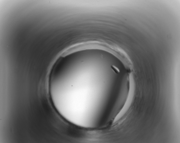 X0000088731516200706071629