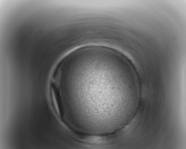 X0000088731517200706071629