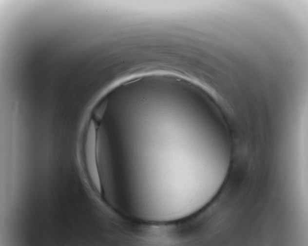 X0000088731518200706071629