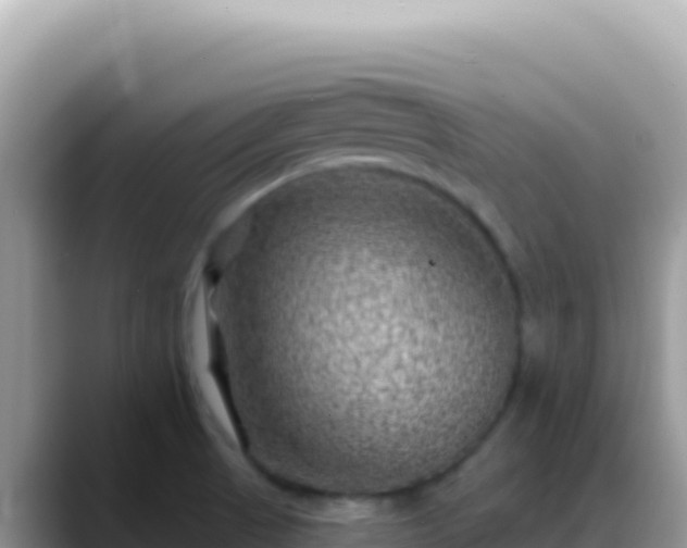 X0000088731521200706071629