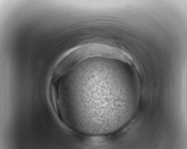 X0000088731523200706071629