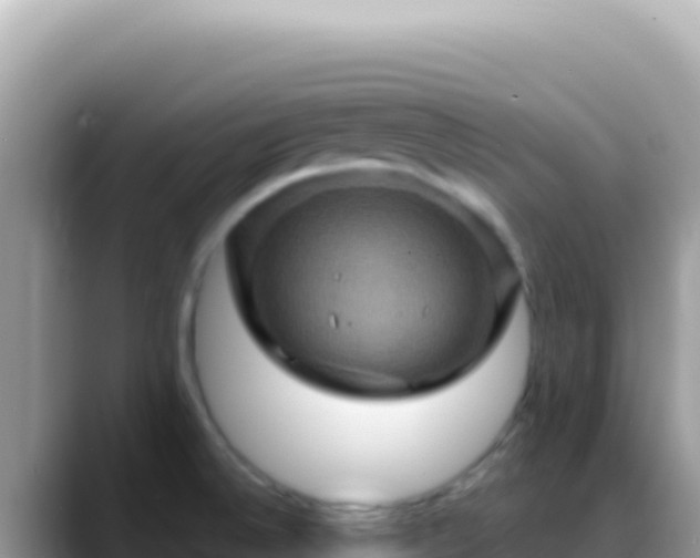 X0000088731524200706071629
