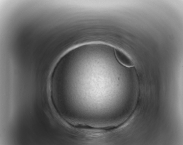 X0000088731526200706071630