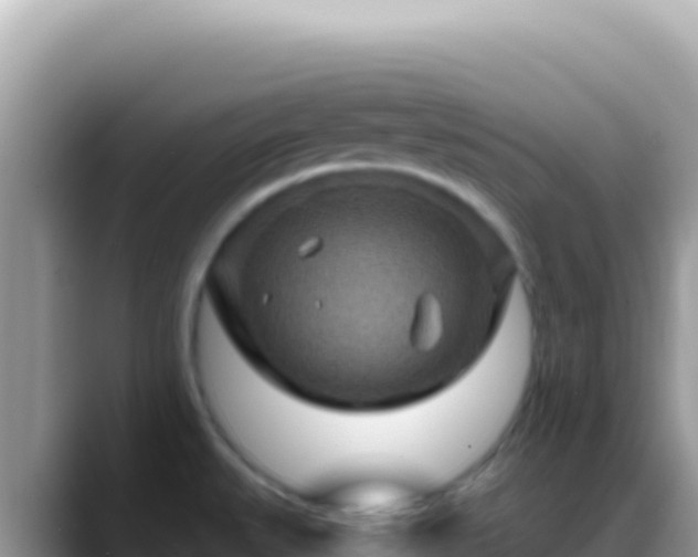X0000088731527200706071630