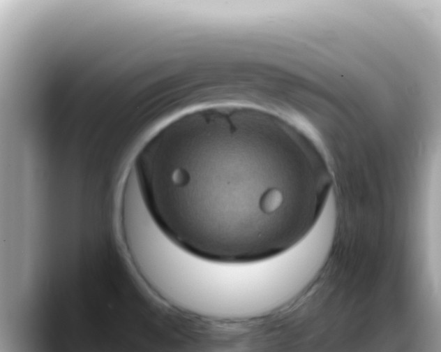 X0000088731528200706071630