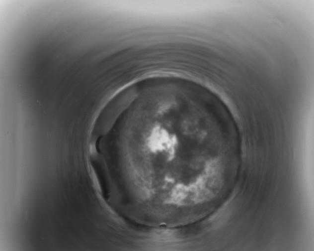 X0000088731529200706071630