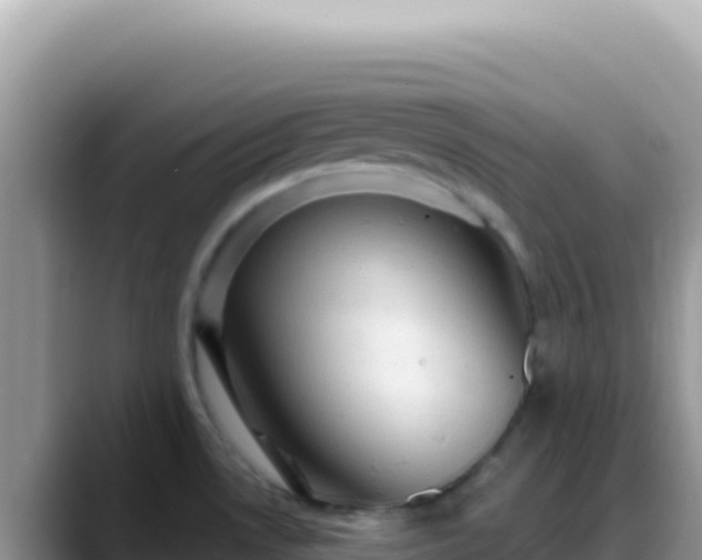 X0000088731530200706071630