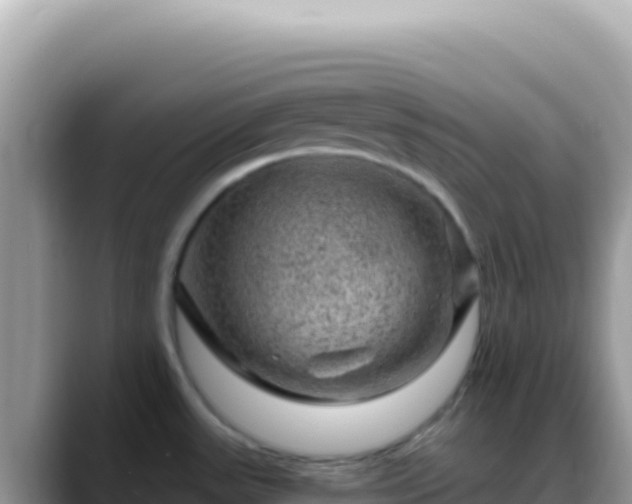 X0000088731531200706071630