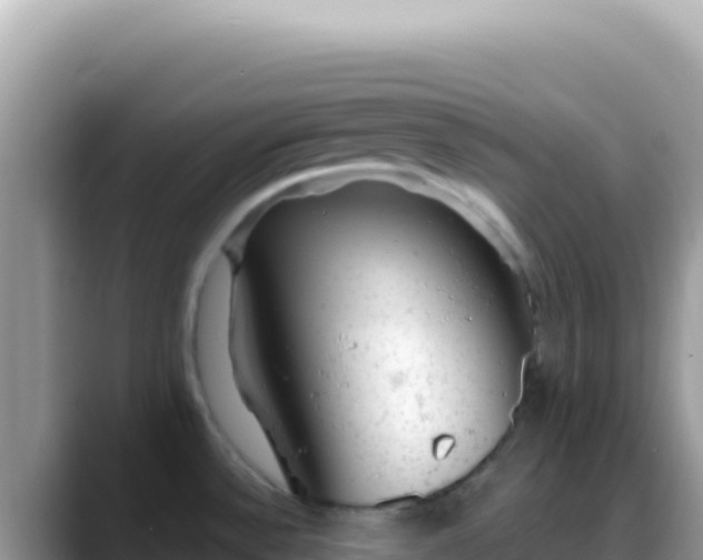 X0000088731532200706071630