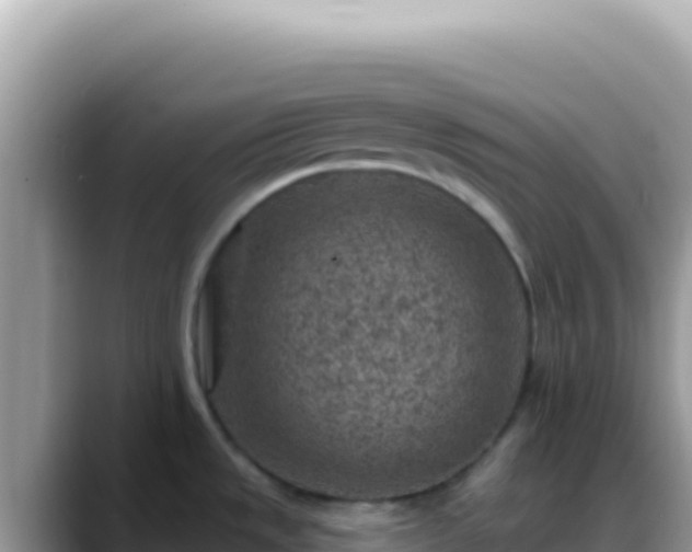 X0000088731533200706071630