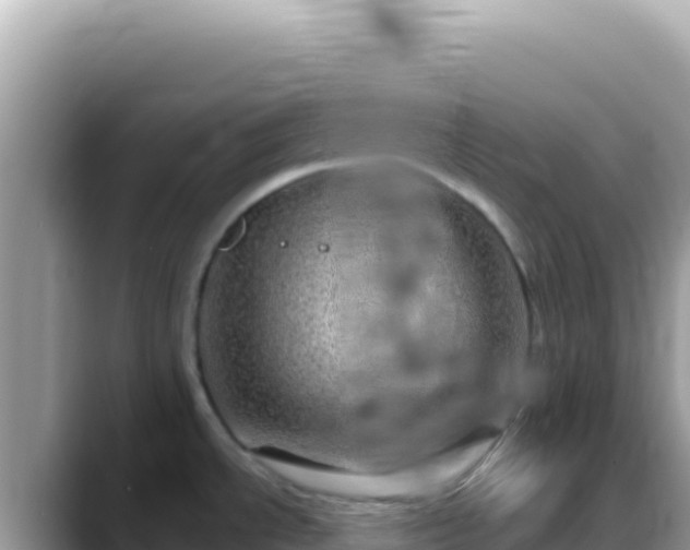 X0000088731534200706071630