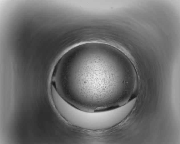 X0000088731536200706071630