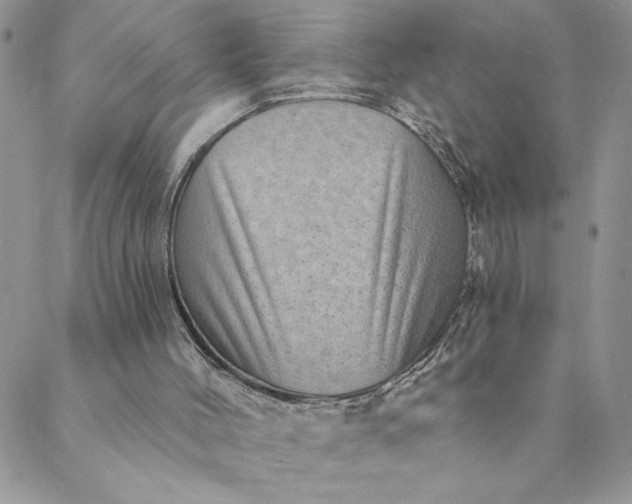 X0000088730004200706141650