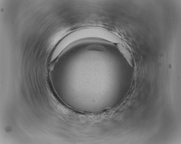 X0000088730005200706141650