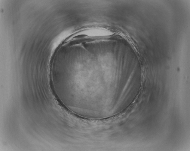X0000088730006200706141650