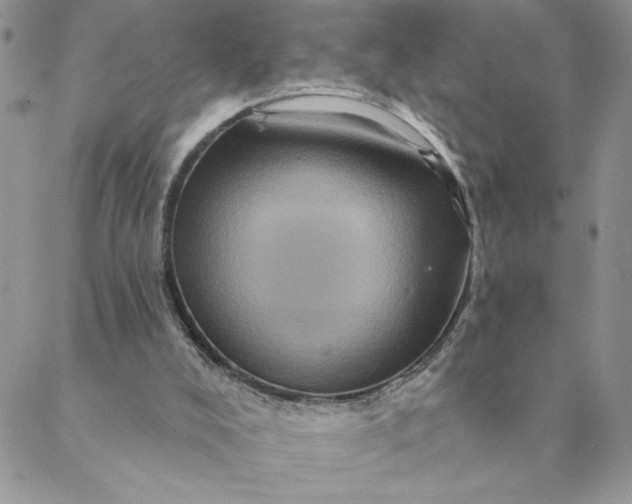 X0000088730008200706141649