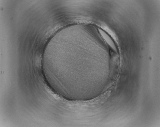 X0000088730009200706141649