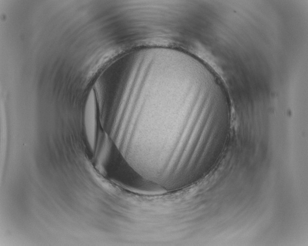 X0000088730013200706141649