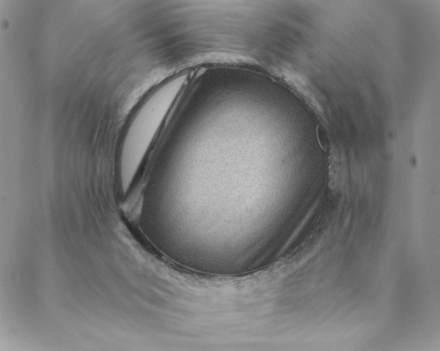 X0000088730015200706141649