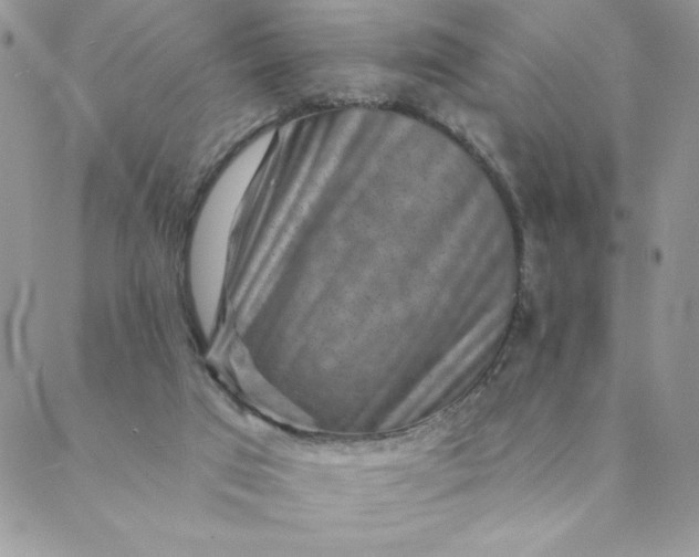 X0000088730017200706141649