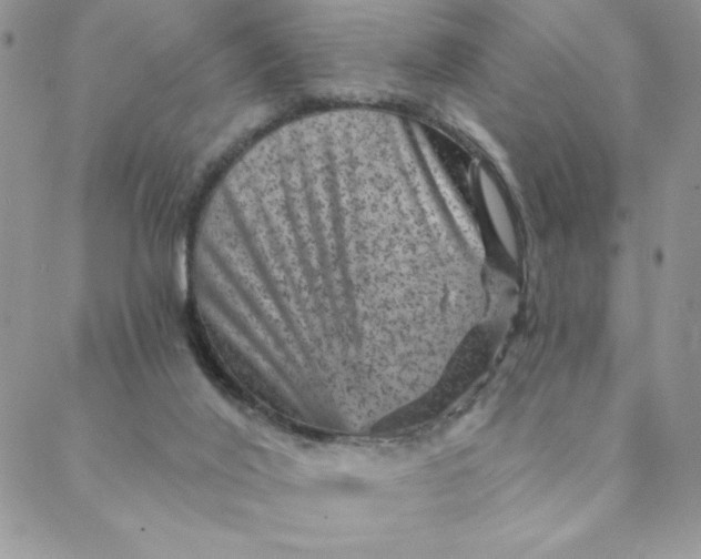 X0000088730020200706141649