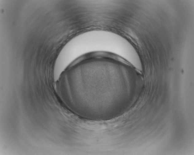 X0000088730029200706141649