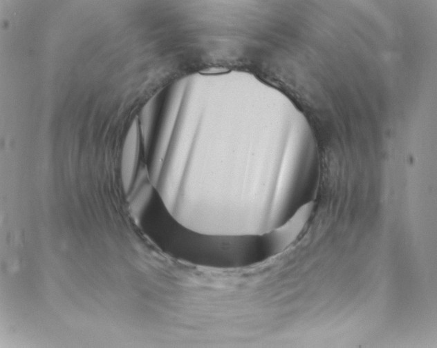 X0000088730033200706141649