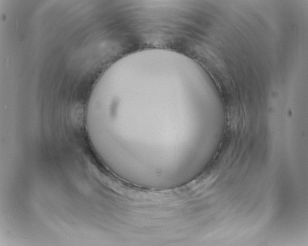 X0000088730036200706141649