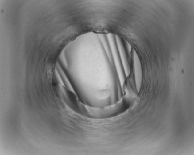 X0000088730037200706141649