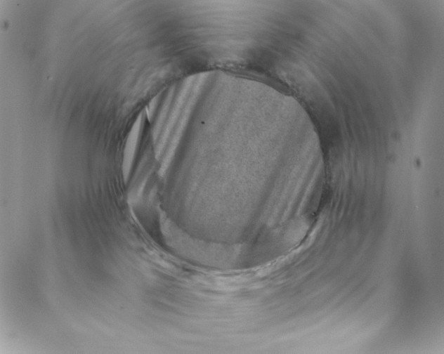 X0000088730041200706141649