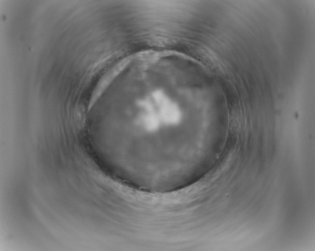 X0000088730043200706141649