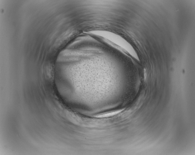 X0000088730044200706141649