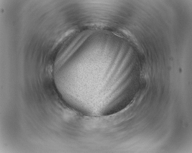 X0000088730045200706141649