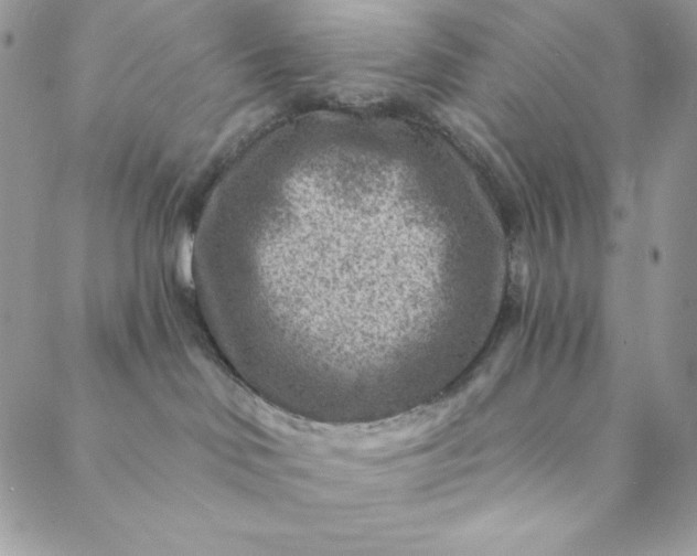 X0000088730046200706141649