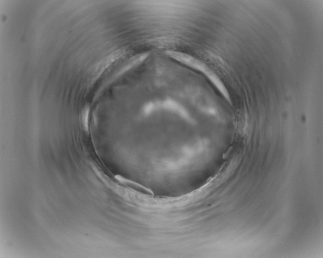 X0000088730047200706141649