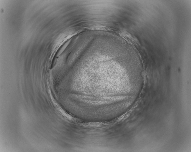 X0000088730049200706141648